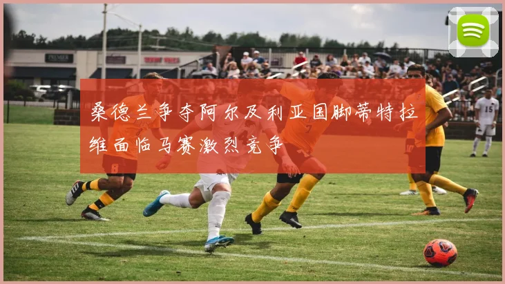 桑德兰争夺阿尔及利亚国脚蒂特拉维面临马赛激烈竞争
